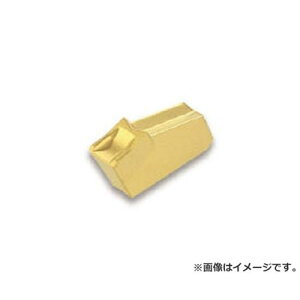 �C�X�J�� A �`�b�v COAT GFF5N ×10�Z�b�g (IC354) [r20][s9-830]