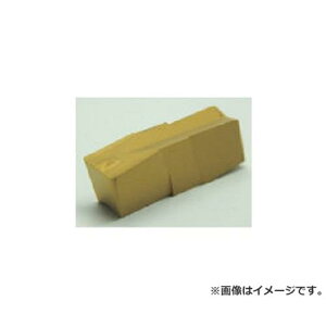 �C�X�J�� A �`�b�v ���d GIP4.00E0.40 ×10�Z�b�g (IC20) [r20][s9-831]