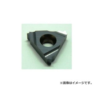 �C�X�J�� D �˂���/�`�b�v COAT 06IR1.25ISO ×5�Z�b�g (IC228) [r20][s9-830]