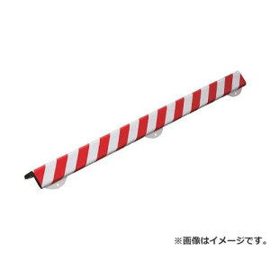 IWATA �o���p�[�v�� BP30 (1m) BP30L1 [r20][s9-831]
