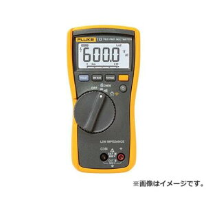 FLUKE [eBeB[E}`[^[ 113 [r20][s9-030]