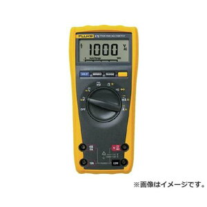 FLUKE fW^E}`[^[(^̎l) 175 [r20][s9-031]