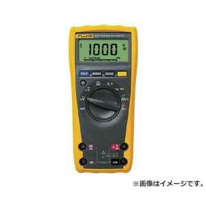 FLUKE fW^E}`[^[(^̎lEobNCgdl) 177 [r20][s9-032]