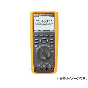 FLUKE fW^}`[^[287(^̎lghELv`[t) 287 [r20][s9-033]