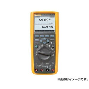 FLUKE fW^}`[^[289(^̎lghELv`[t) 289 [r20][s9-033]