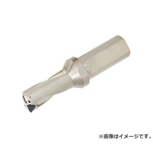 �^���K���C TAC�h���� TDS400F402 [r20][s9-032]