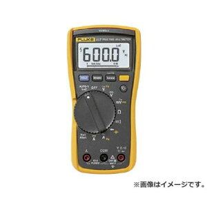 FLUKE ^̎l}`[^[ 117 [r20][s9-031]