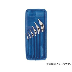 HEX PRO �s�{�b�g�w�b�h�Z�p�����`�Z�b�g HP6IC10 [r20][s9-020]