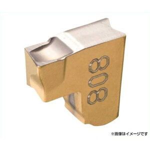 �C�X�J�� �ːؗp�`�b�v COAT TAGN2C ×10�Z�b�g (IC808) [r20][s9-830]