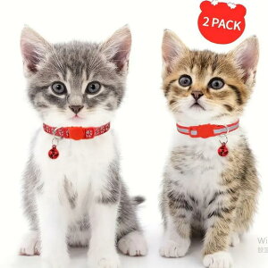 lRp J[  킢 xt ˔Lp J[2Zbg ϋv |GXe u[NAEFC SlbNX   ybgpi т yĂ܂Iz