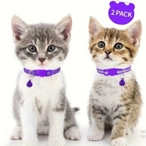 lRp J[  킢 xt ˔Lp J[2Zbg ϋv |GXe u[NAEFC SlbNX   ybgpi т yĂ܂Iz