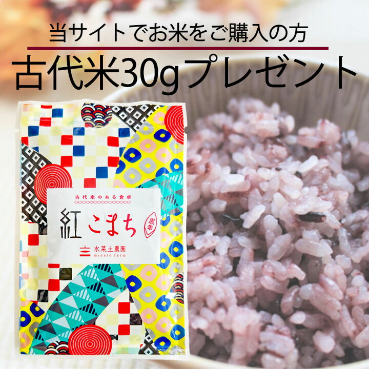 楽天市場】秋田県産 あきたこまち 精米 30kg（5kg×6袋）令和7年産 古代 