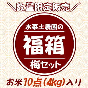 yzؓy_   2025 i~Zbgj   lߍ킹 ʌ