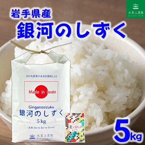 白米 岩手県産銀河のしずく 精米」の人気商品一覧 | 安い商品を通販 