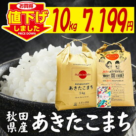 秋田県産 あきたこまち 精米10kg（5kg×2袋）令和7年産 古代米30gお試し袋付き