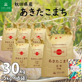 【玄米】秋田県産 あきたこまち 30kg（5kg×6袋）令和5年産 古代米お試し袋付き