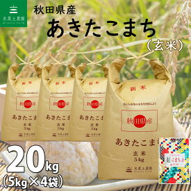 【玄米】秋田県産 あきたこまち 20kg（5kg×4袋）令和5年産 古代米お試し袋付き