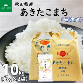 【無洗米】 秋田県産 あきたこまち 10kg（5kg×2袋）令和5年産 御縁米（縁結び） 150g プレゼント付き