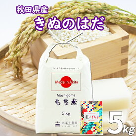 秋田県産 農家直送 きぬのはだ もち米 精米 5kg 令和6年産 /古代米お試し袋付き