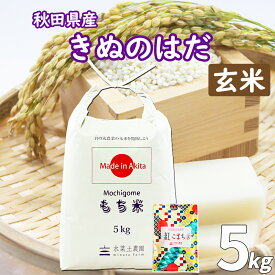秋田県産 農家直送 きぬのはだ もち米 玄米 5kg 令和6年産 /古代米お試し袋付き
