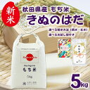 【新米20％OFF！】秋田県産 農家直送 きぬのはだ もち米 5kg 令和7年産 選べる精米方法 選べるお試し袋付き