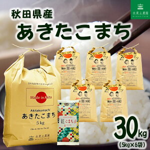 �H�c���Y ���������܂� ����30kg�i5kg×6�܁j�ߘa7�N�Y �Ñ��(�g���܂�)150g�t��