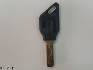 ƌ@KAKEN@HD-200P @[J[i @fBvL[@@XyAL[@q@