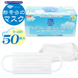 }XN 50 [ӂTCY] T[WJ sDz 3w }XN F l v[c ሳS EBX ԕ h PM2.5  ΍ tB^[ iς