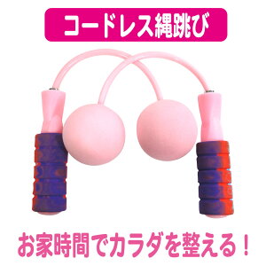 VFCvAbv@R[hX WsO ȂƂ [sN] XgX@_CGbg@^@