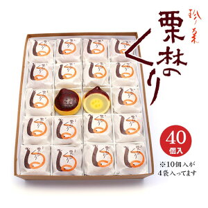 yzIт̂ IyIَqzΕ Ε   I ܂񂶂イ  \ I\ aَq Mtg XC[c V   j j 䋟  킢  