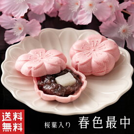 【送料無料】春色最中 桜 お餅 粒あん【桜の和菓子】入学 入園 卒業 就職 挨拶 さくら もなか 最中 春 ギフト スイーツ 老舗 香川 高級 お取り寄せ 御祝 お祝い 御供 お供え 詰合せ おしゃれ かわいい 可愛い あんこ 手土産 お菓子 贈り物 セット 誕生日 プレゼント