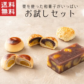 【送料無料】 栗いっぱい お試し セット 栗菓子【和菓子】母の日 栗 わがし 詰め合わせ ギフト スイーツ 香川 高松 高級 お取り寄せ 御祝 お祝い 御供 お供え 詰合せ おしゃれ かわいい 可愛い あんこ 手土産 お菓子 贈り物 誕生日 プレゼント 健康 栗蒸羊羹 栗饅頭