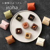 【変わり種羊羹】 iroha 1個 バラ【和洋菓子】チョコ ようかん ドライフルーツ 和菓子 ギフト スイーツ …