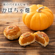 【秋の味覚】 かぼちゃ畑 カボチャ パイ まんじゅう 【バラ売り】秋菓子 和風 和洋折衷 秋 南瓜 饅頭 和…