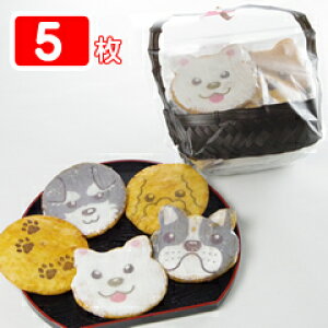 Xʐ݁uׂvaĕܓ5g܁iJCCׂD̐S݂͂܂j`[tĚ`ECkَ̂qiXC[cjB