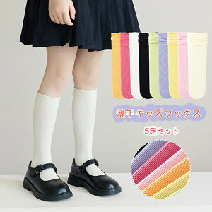 C LbY nC\bNX ̎q 5ZbgK[Y [Y N[\bNX t   ʋC n Vv q  ʉ ʊw JWA F 3-15