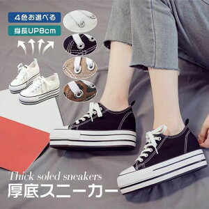 gAbv 8cm Xj[J[ fB[X LoX C LoXXj[J[ ^C z  [Jbg ҂ݏグ [XAbvV[Y ^ q[Abv Vv  ؂ 