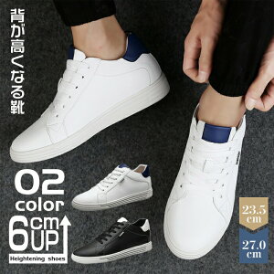 Y Xj[J[ V[NbgV[Y C 6cmUP  [Jbg Xj[J[ wȂ gAbv Cq[ ~ ɂȂ V[NbgXj[J[ ɂ  JW