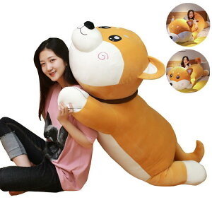 2m INSŐlC ʂ    ܂ NbV Q   ̎q q̓ a v[g   Mtg