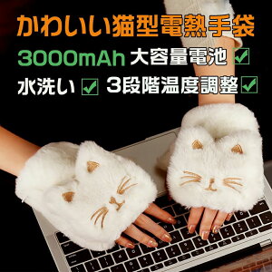 dM dMO[u fB[X 3000mAh 3iKx 2way wȂ Jo[t  LEDtfBXvC g[ L^ q[^[O[u p\R Ci[O[u n