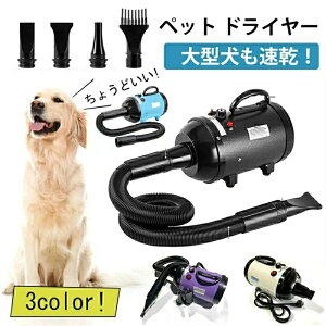 ybgwA[hC[  Ɩp hC[ ybgp hC[ ybg ybghC[