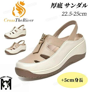 ؍ T_ fB[X  ₷ Ȃ  Xj[J[ T_ PU 5cm Xj[J[ wlC d ʋC[X ₷ Ȃ T_Xj[J[ fB[X 