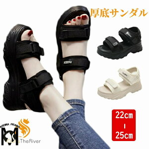 X|[cT_ fB[X  5.5cm up ₷ r T_ d ȂC T_  T_ _炩 L b O ItBXT_ ~ y  