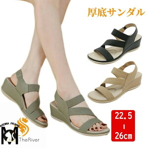  X|[cT_ fB[X 5cm up ₷ ȂC y r T_  T_Xj[J[ _炩 L ItBXT_ ~ y  JWA Vv