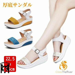 X|[cT_  fB[X 5.5cm up ₷ d ȂC T_ r T_  T_ _炩 L b O ItBXT_ ~ y  