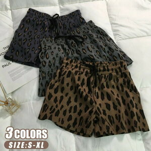 5pc {gX Vbgpc Zpc ZY{  qE fB[X n[t n oM[ Ђ\ oM[g[U[Y K[Yt@bV ؍ ̎q q