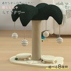 SSG SHOP Vpi L ܂Ƃ |[ ɑ O {  Zbg  u ܂݂ XgX   xbh ybgxbh ܂₷ ܌