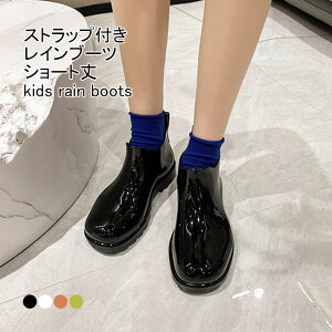 Cu[c fB[X V[gu[c n h h Xgbvt ~߉H _炩 ₷ ₷ Vv t J JC J悯 ʊw ʋ p AEghA 