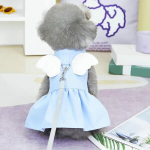   s[X Vg Ht 킢  t n[lX t p[X ̎q  U ₷ OJ pXe xs xl