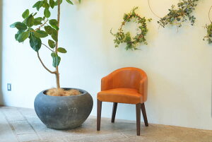 ֎q `FA 55cm s53cm 72cm ʍ44cm VR _CjO ω׏d80kg  n Vv i l| \tgU[ L _[NuE AC{[ bh ؐ